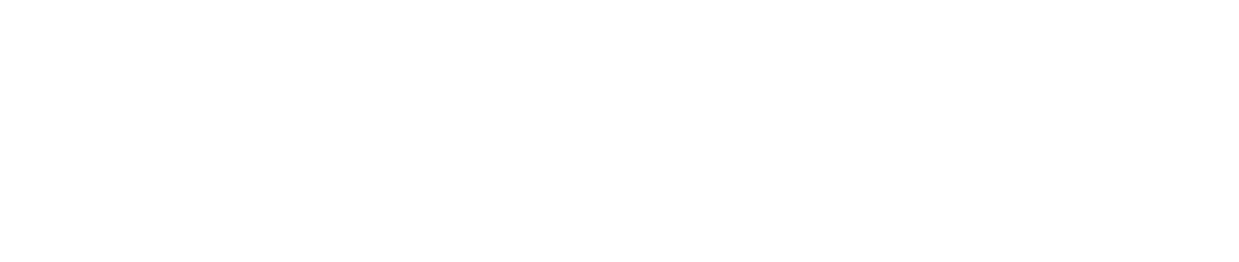 TJ Nexus Labs Logo